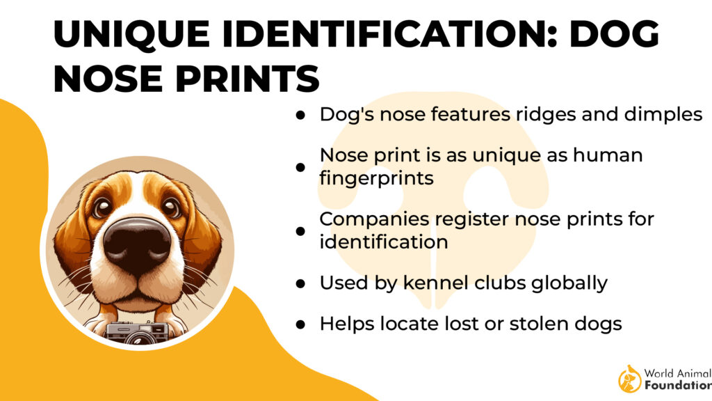 Unique Identification Dog Nose Prints