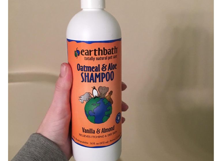 best shampoo for huskies