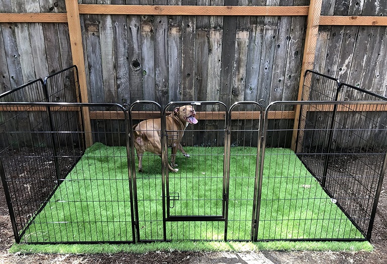 good fences for dogs