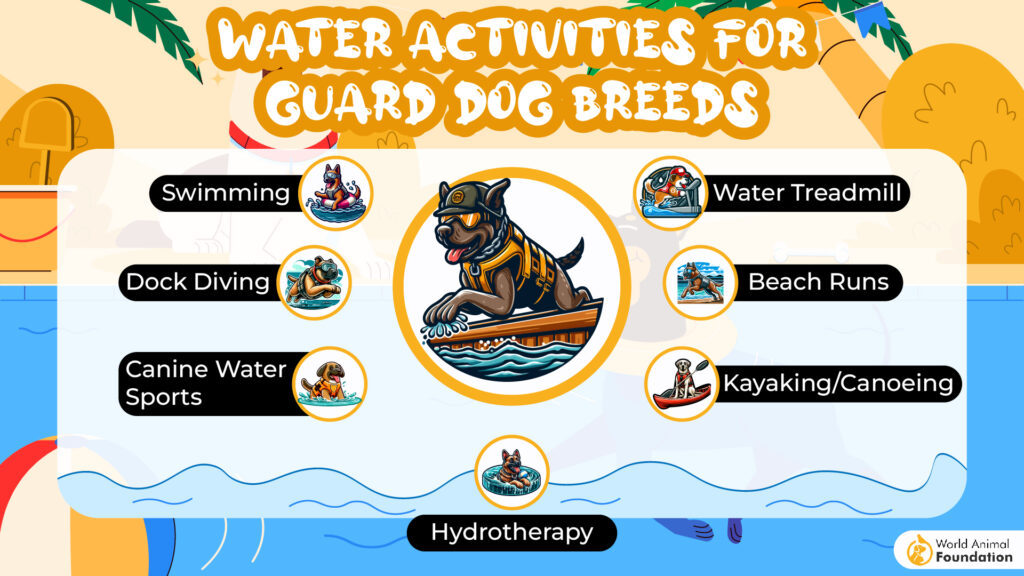 Water Activities for Guard Dog Breeds