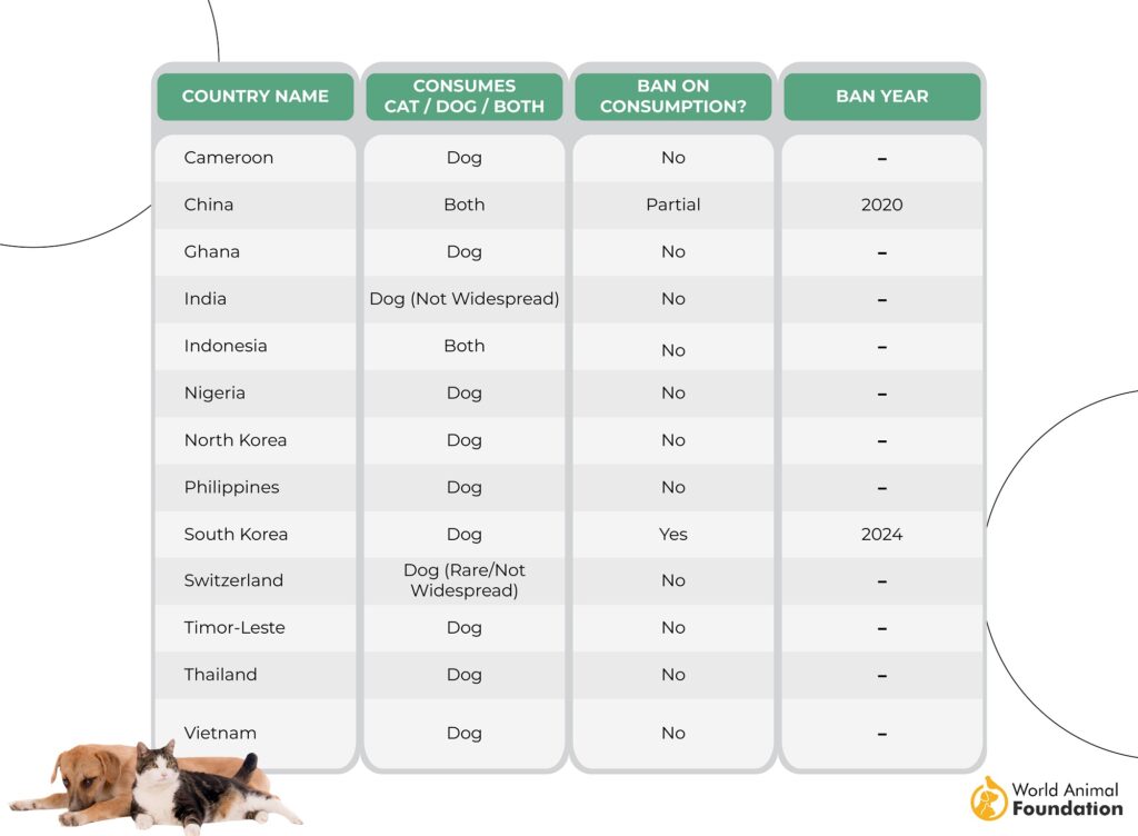 What Countries Eat Dogs & Cats