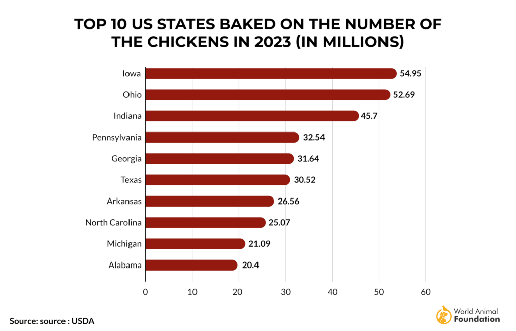 What State Produces The Most Chickens