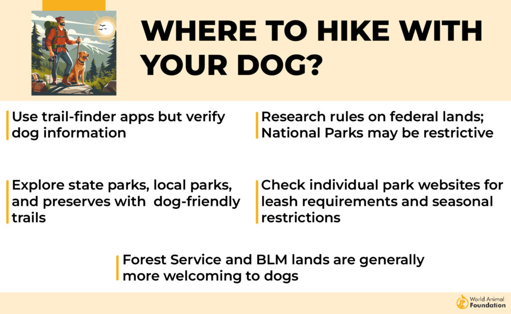 Where to hike with your Dog