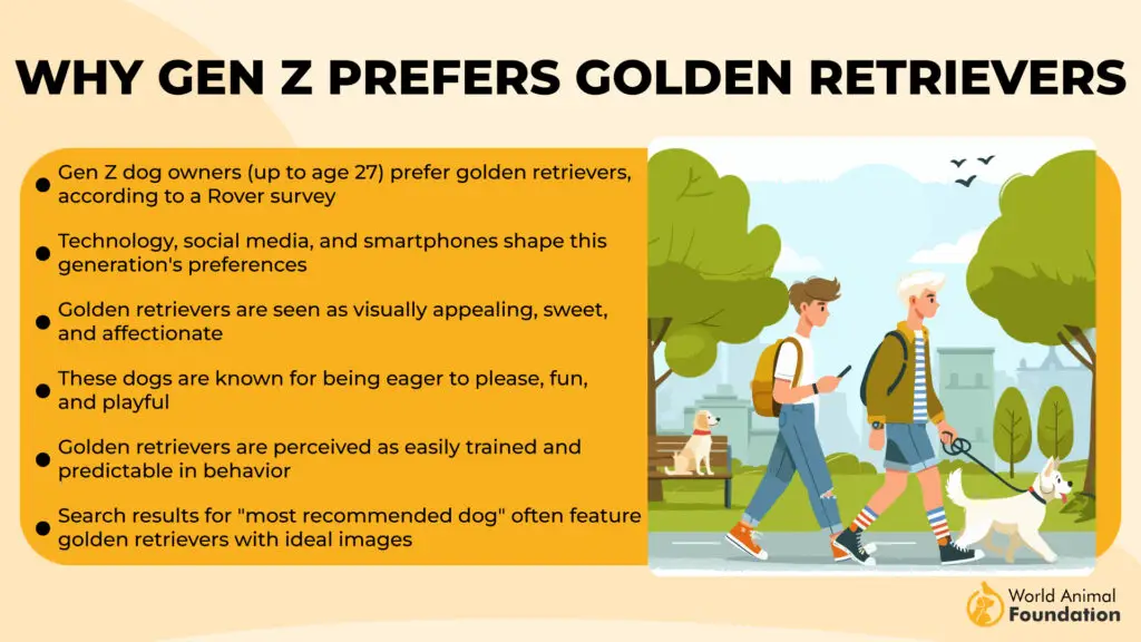 Why Gen Z Prefers Golden Retrievers