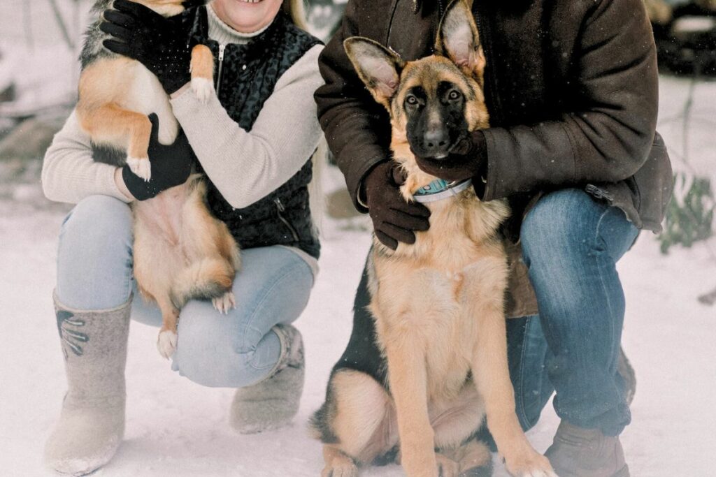 are german shepherds a good family dog