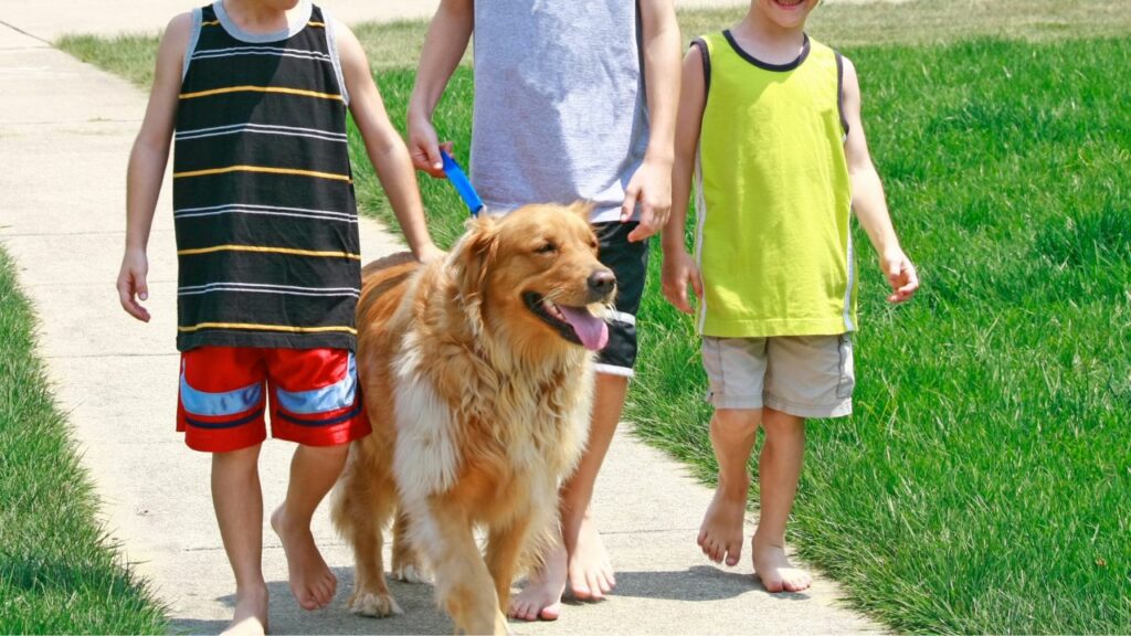 are golden retriever good with children