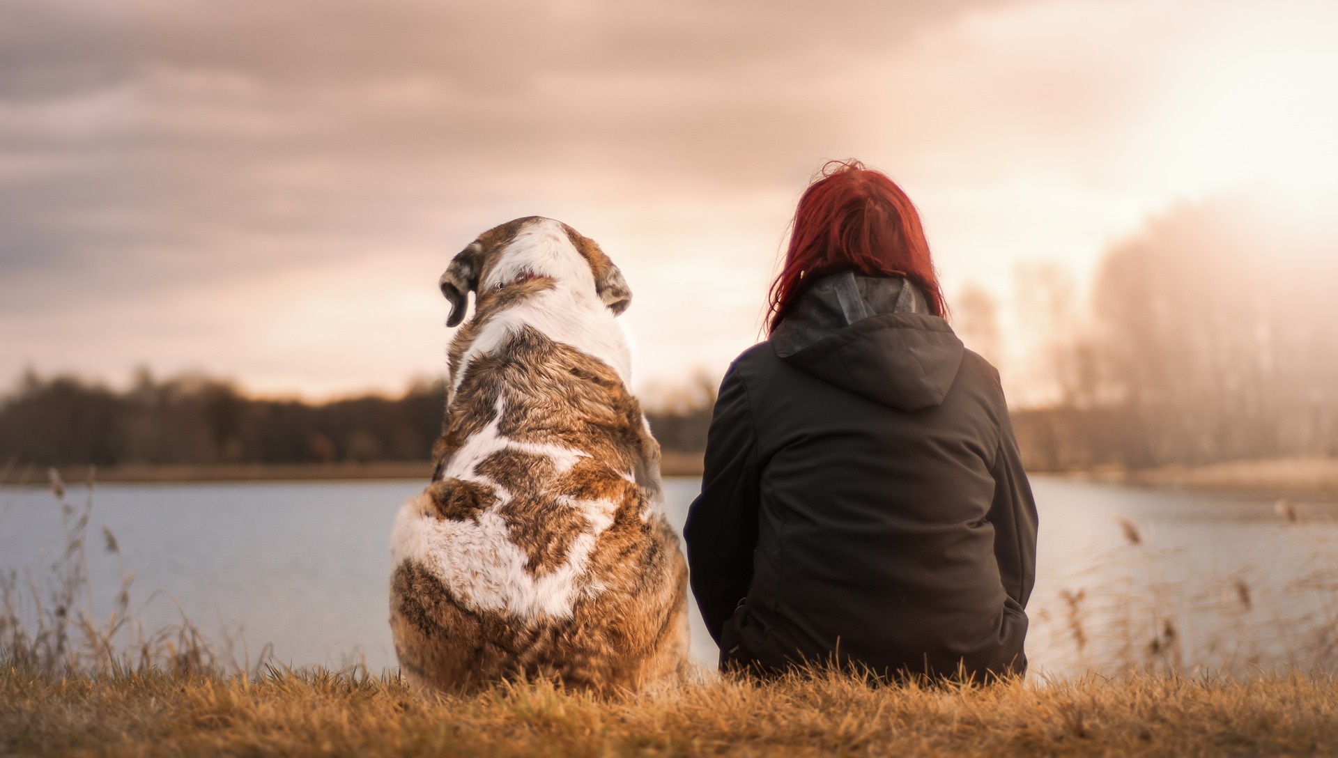 best dog for a single woman