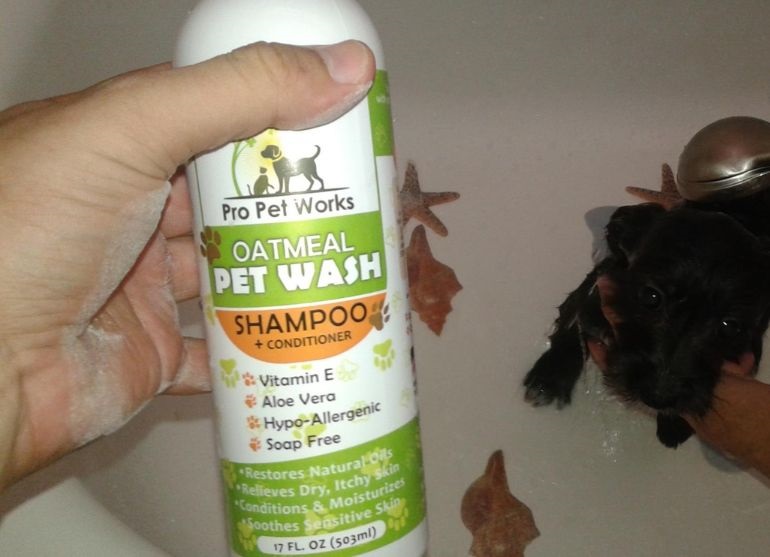 best husky shampoo