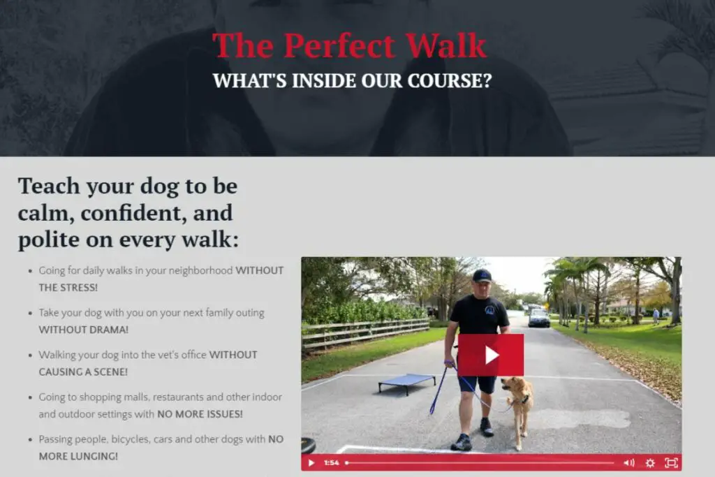 diyk9 the perfect walk