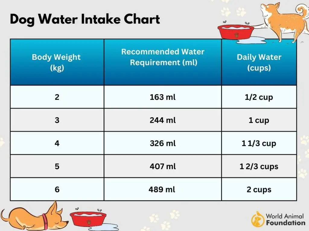 dog water intake chart 1