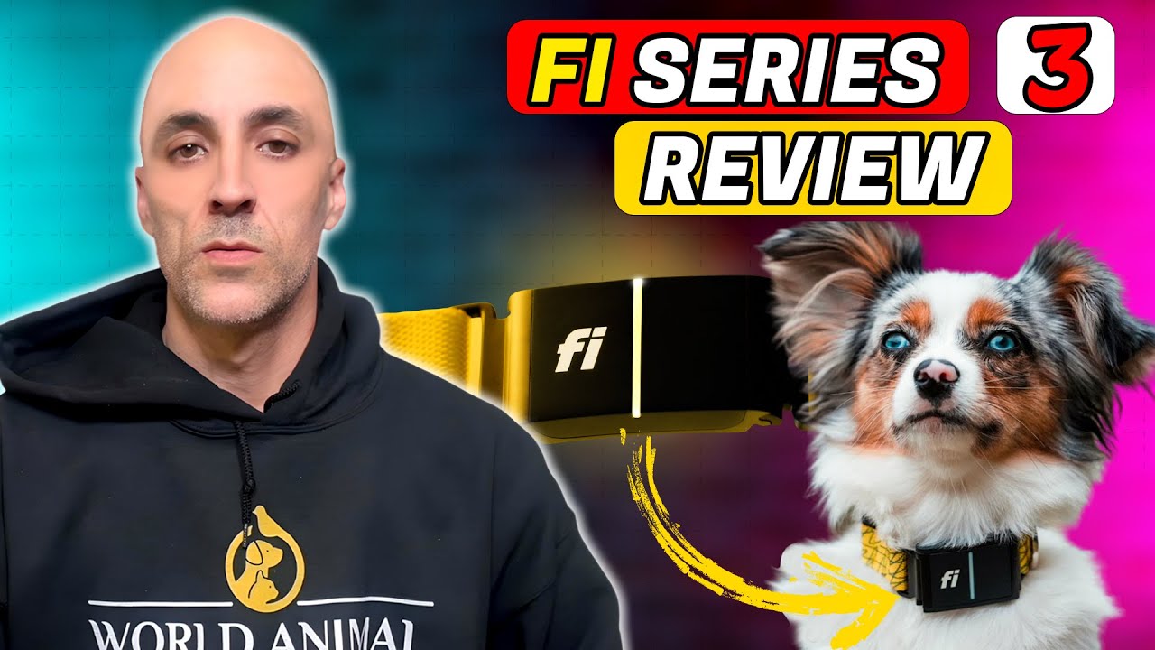 fi series 3 review