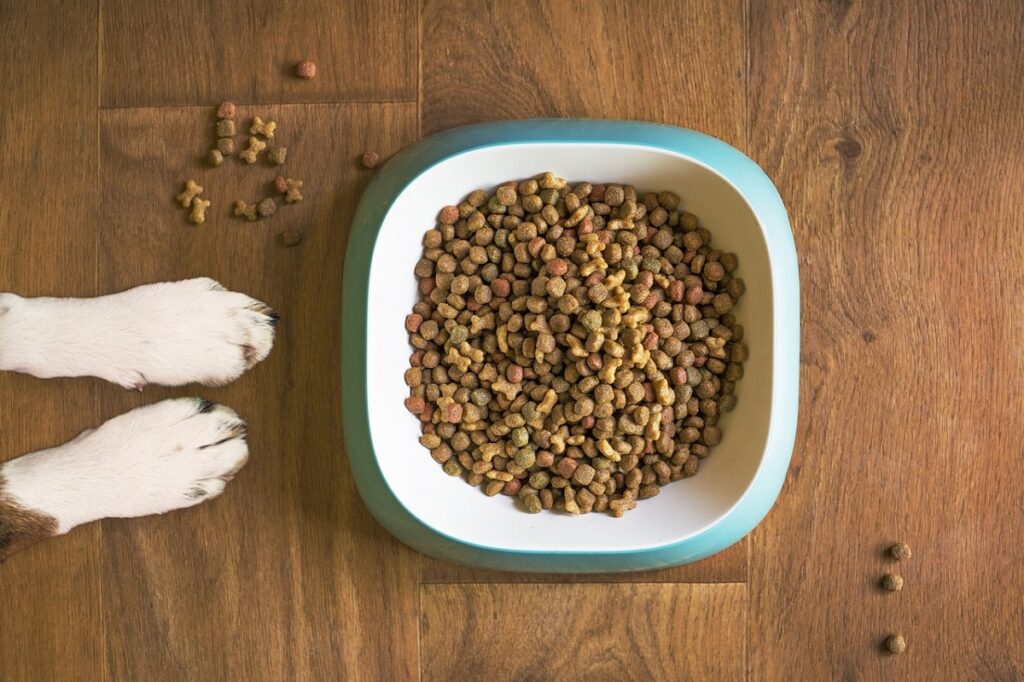 how much food should my dog eat