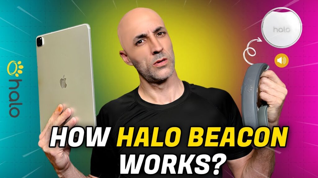 What Is Halo Beacon, And How Does It Work? Video Guide EN Pet YOLO