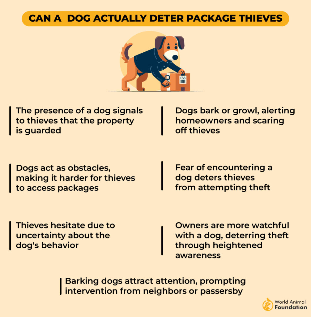 Dog Breeds to Protect Against Package Thieves