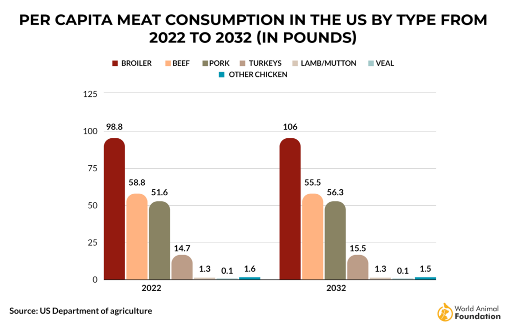 meat cosumption in the US