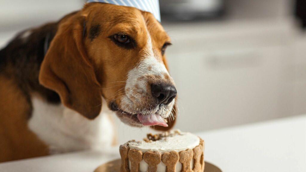 most food motivated dog breeds