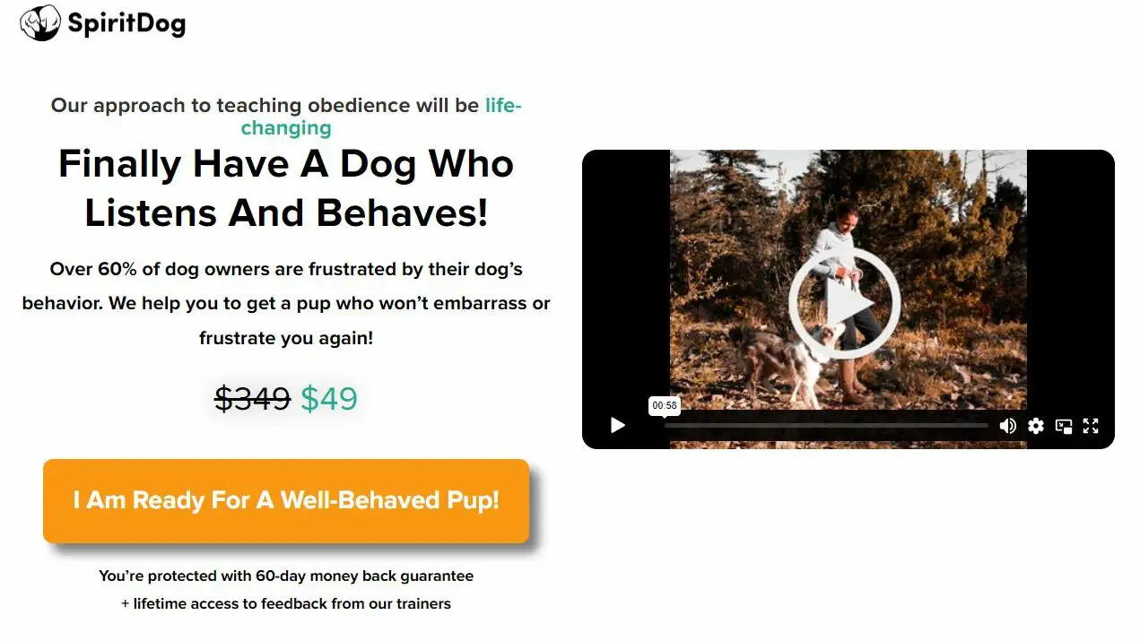 online dog training reviews
