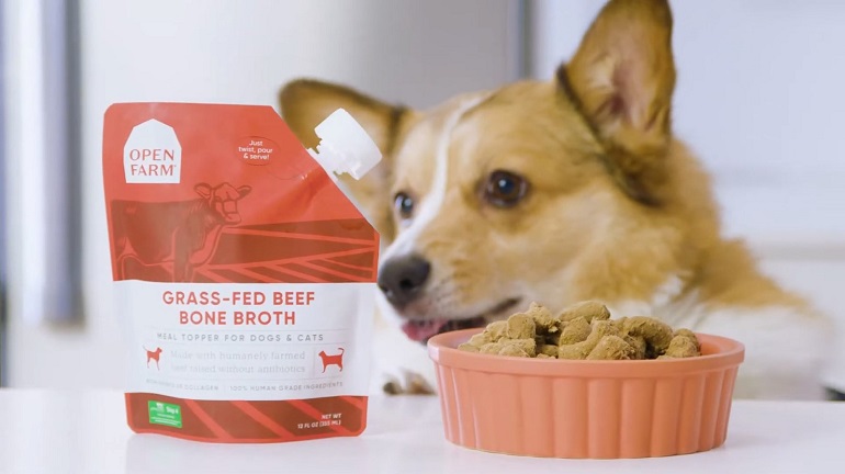 good bone broth for dogs