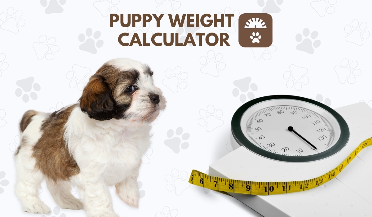 puppy weight calculator