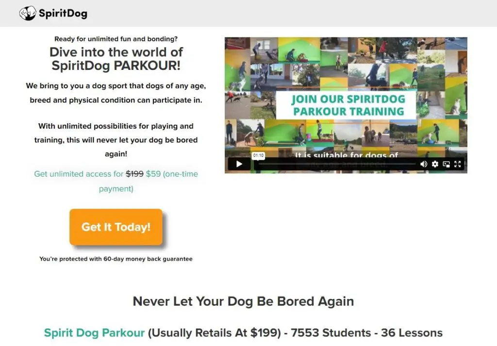 reviews of spirit dog training
