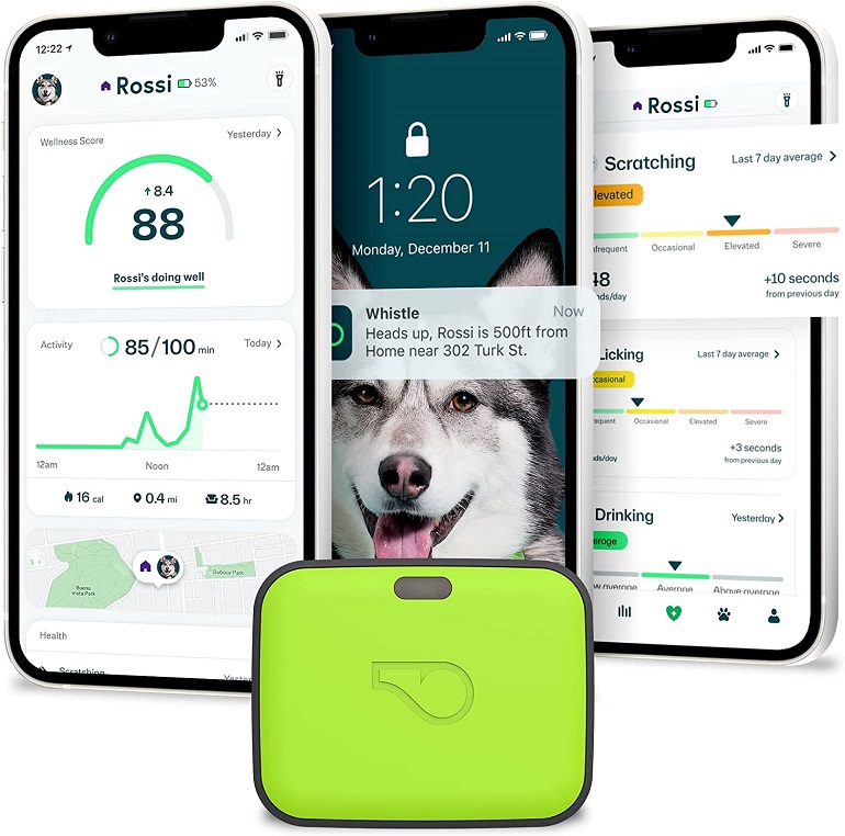 best pet tracker for dogs