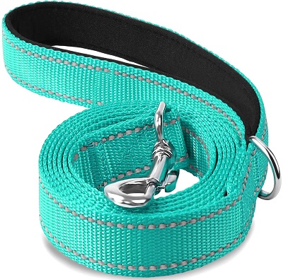 1730830207 667 Joytale Reflective Dog Leash REVIEW