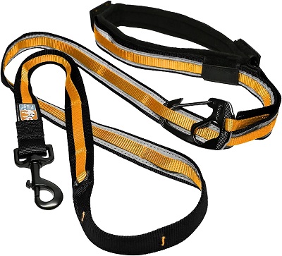 1730830209 241 Kurgo Dog Leash Tie Out System REVIEW