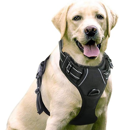 1730833806 852 Rabbitgoo Dog Harness review