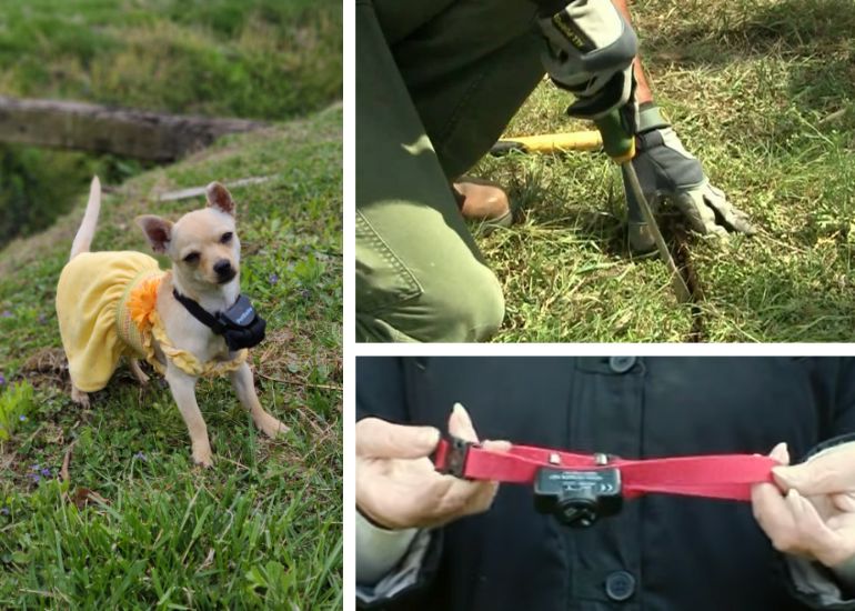 installation of underground dog fence