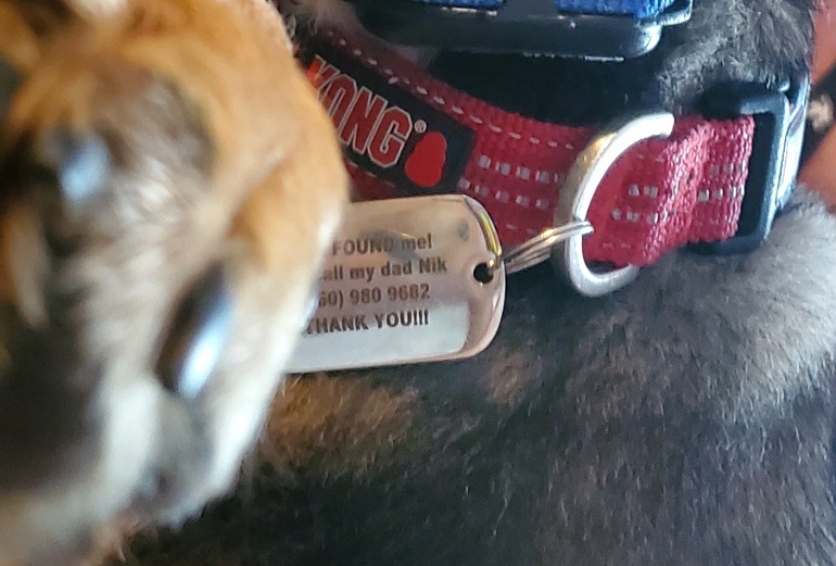 how to put tags on dog collar