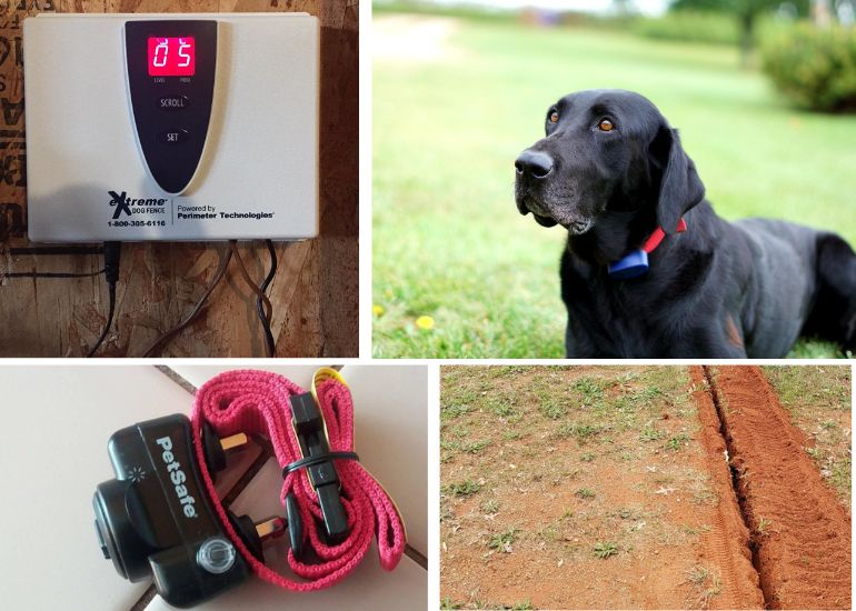 how to install an electric fence for dogs