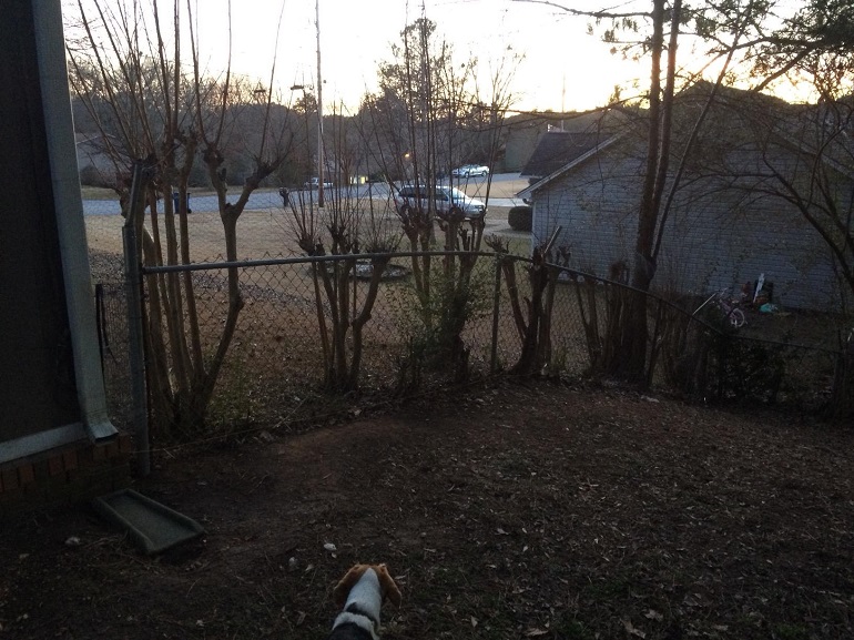 installation of underground dog fence