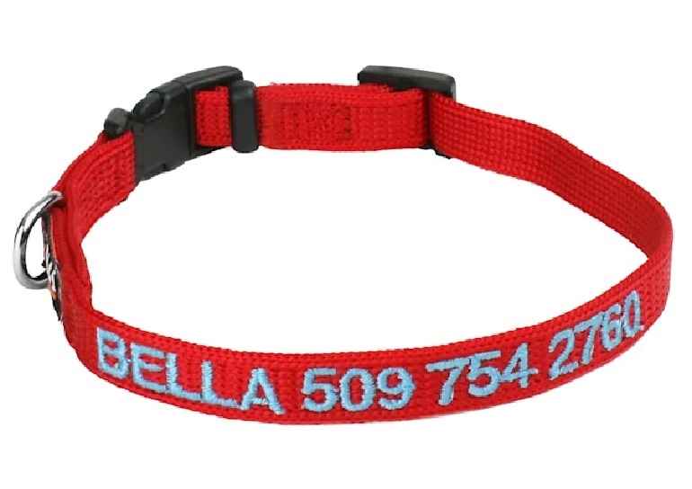 1730940612 646 GoTags Nylon Personalized Dog Collar review