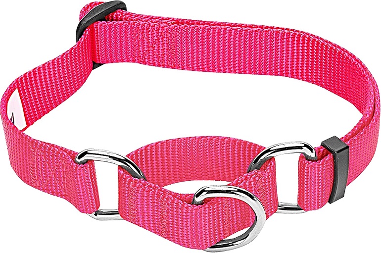 1730940612 760 Blueberry Martingale Collar review