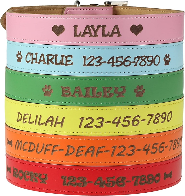 1730940612 93 Custom Catch Personalized Dog Collar review 3