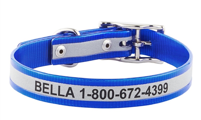 1730945722 238 GoTags Personalized Reflective Waterproof Dog Collar review