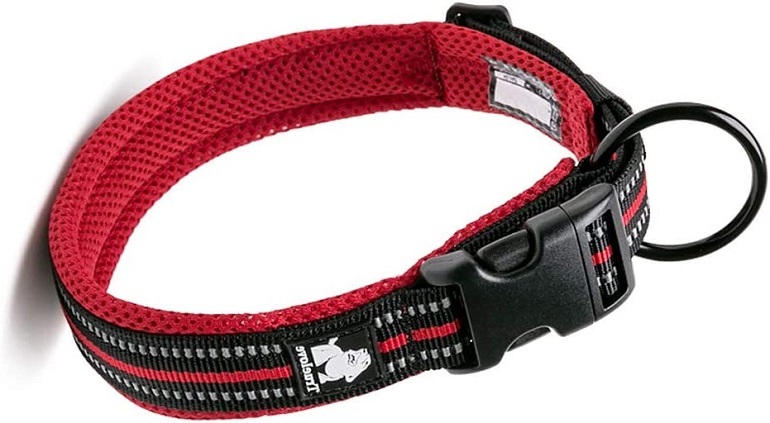 1730945723 726 Chais Choice Premium Reflective Dog Collar review 2