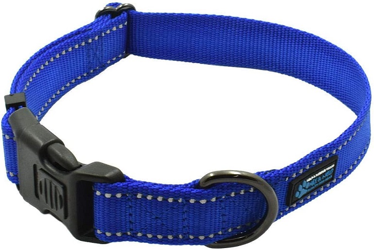 1730945723 815 Max and Neo NEO Nylon Buckle Reflective Dog Collar review