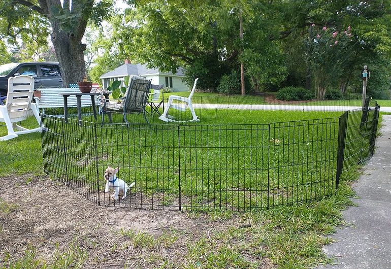 pet fences