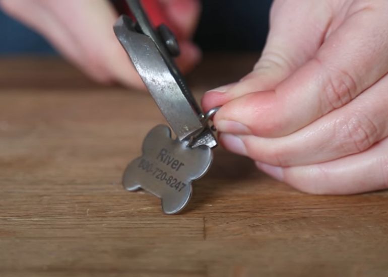 how to put on a dog tag