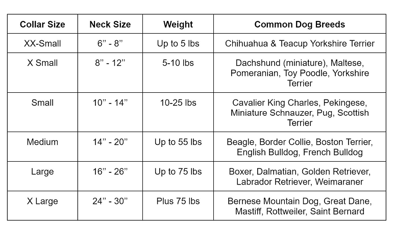 how to measure dog for collar