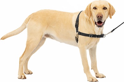 PetSafe Easy Walk Dog Harness review