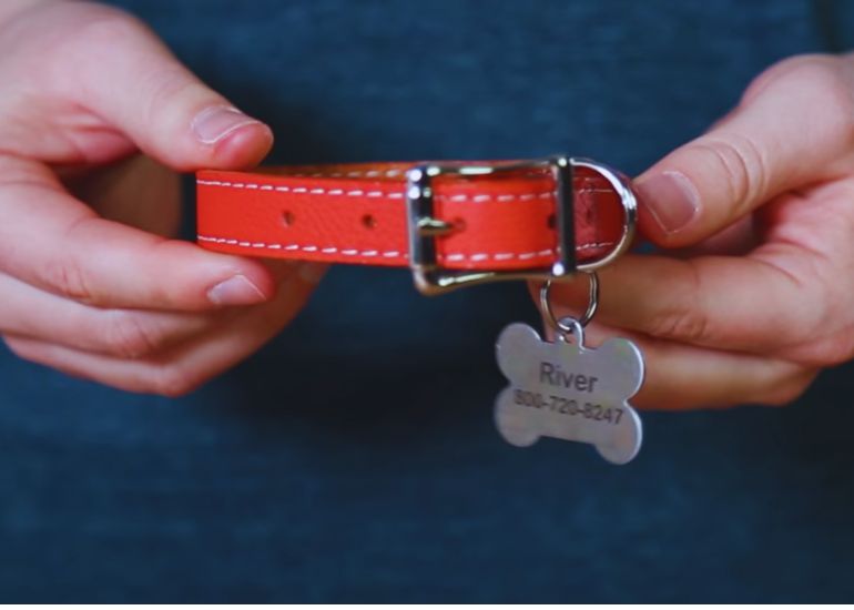 attach dog tag to collar