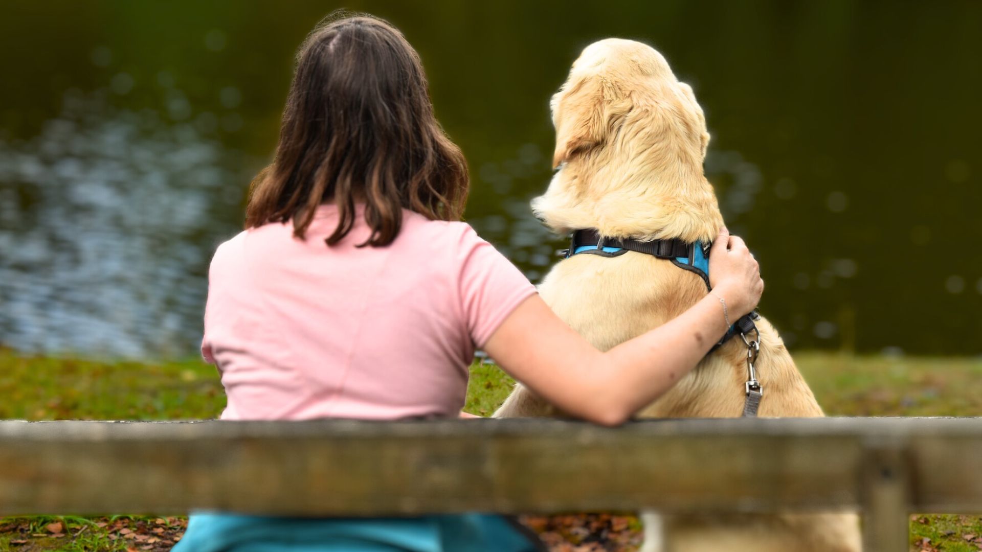 Best Emotional Support Dog Breeds for Women