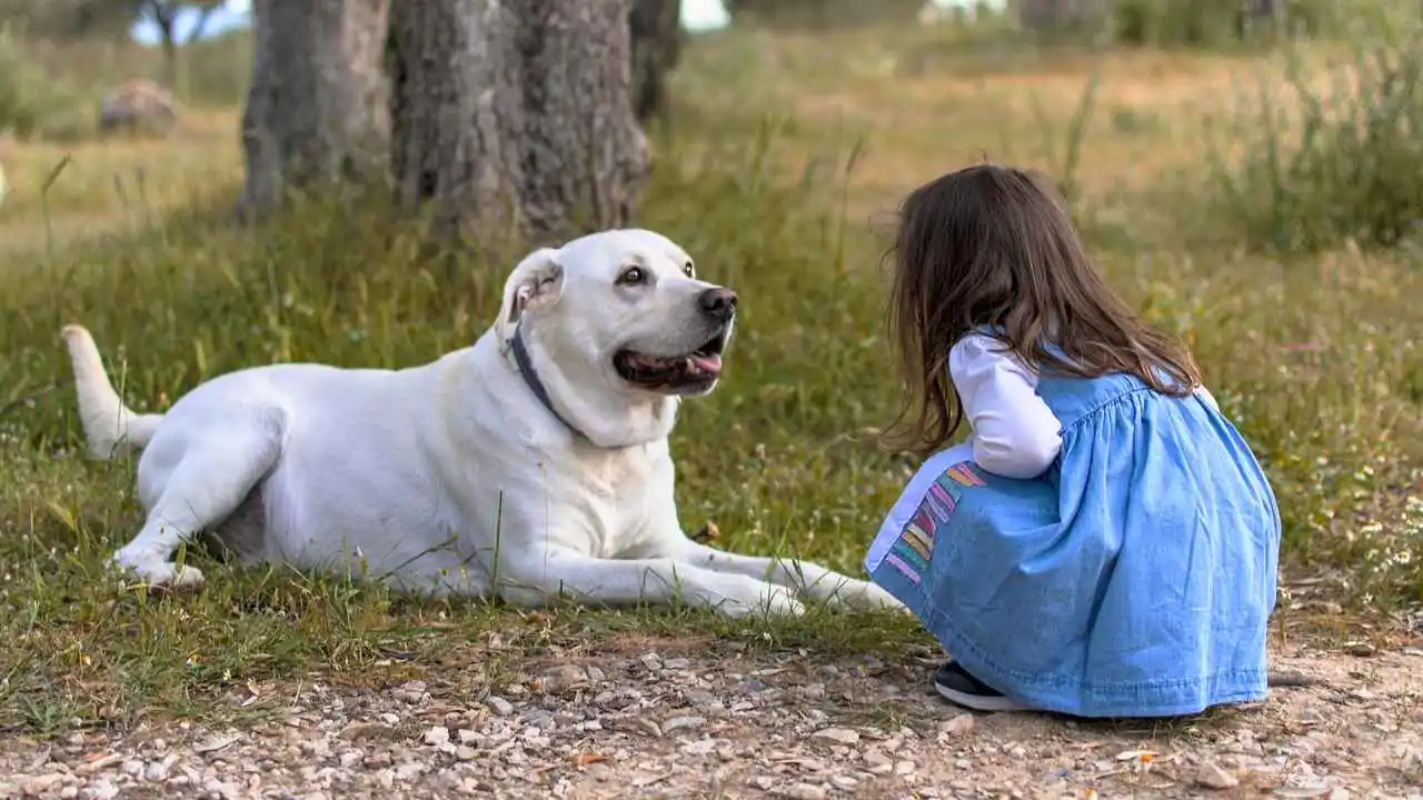 Best Guard Dog Breeds for Kids