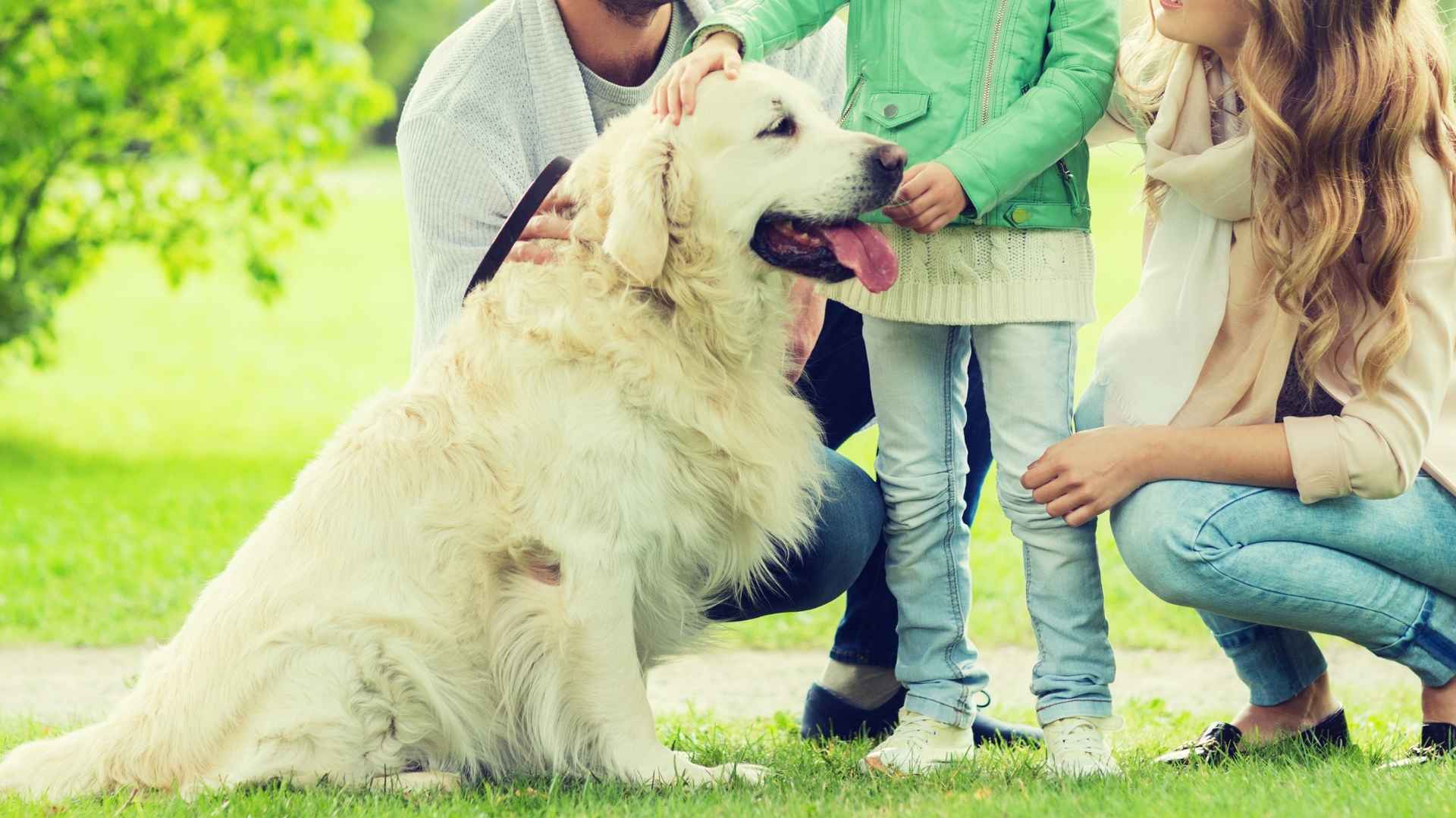 Best Guard Dogs for Families