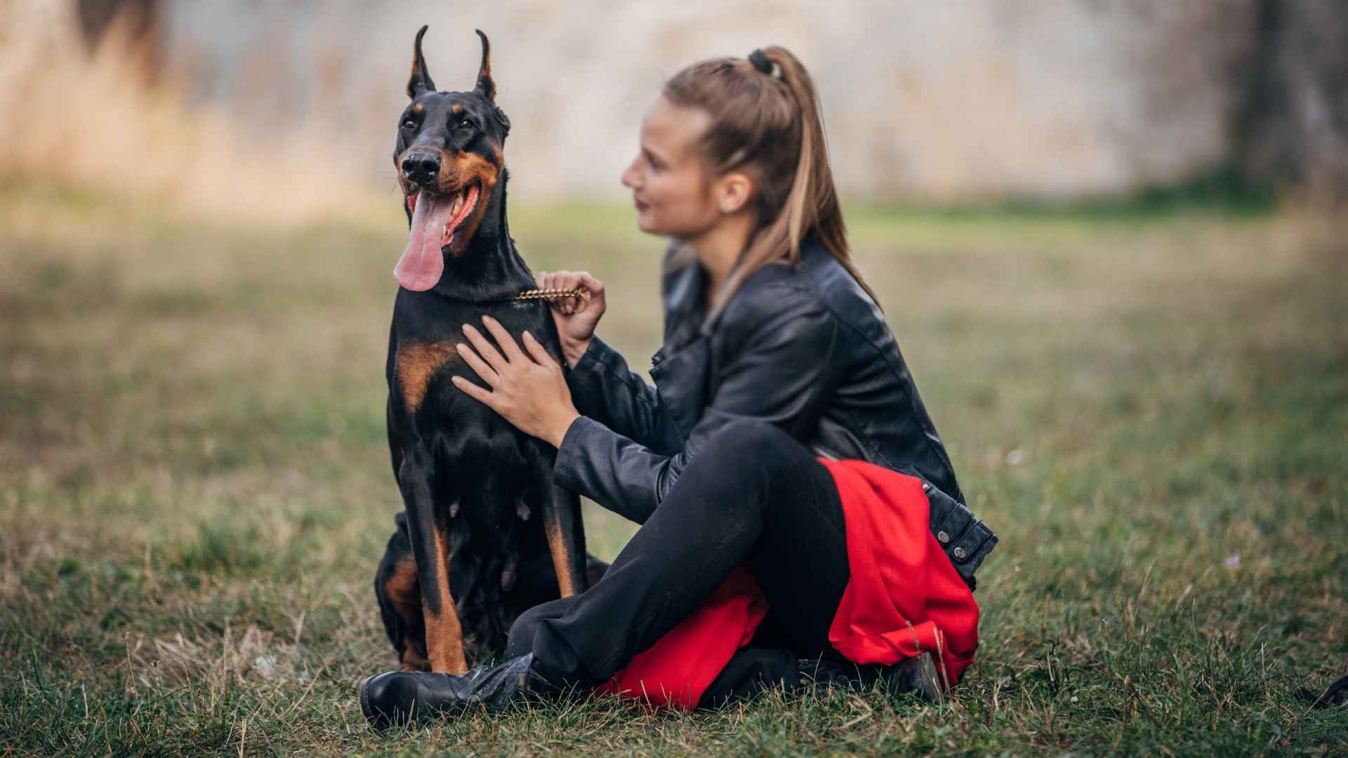 Best dog breeds for single women