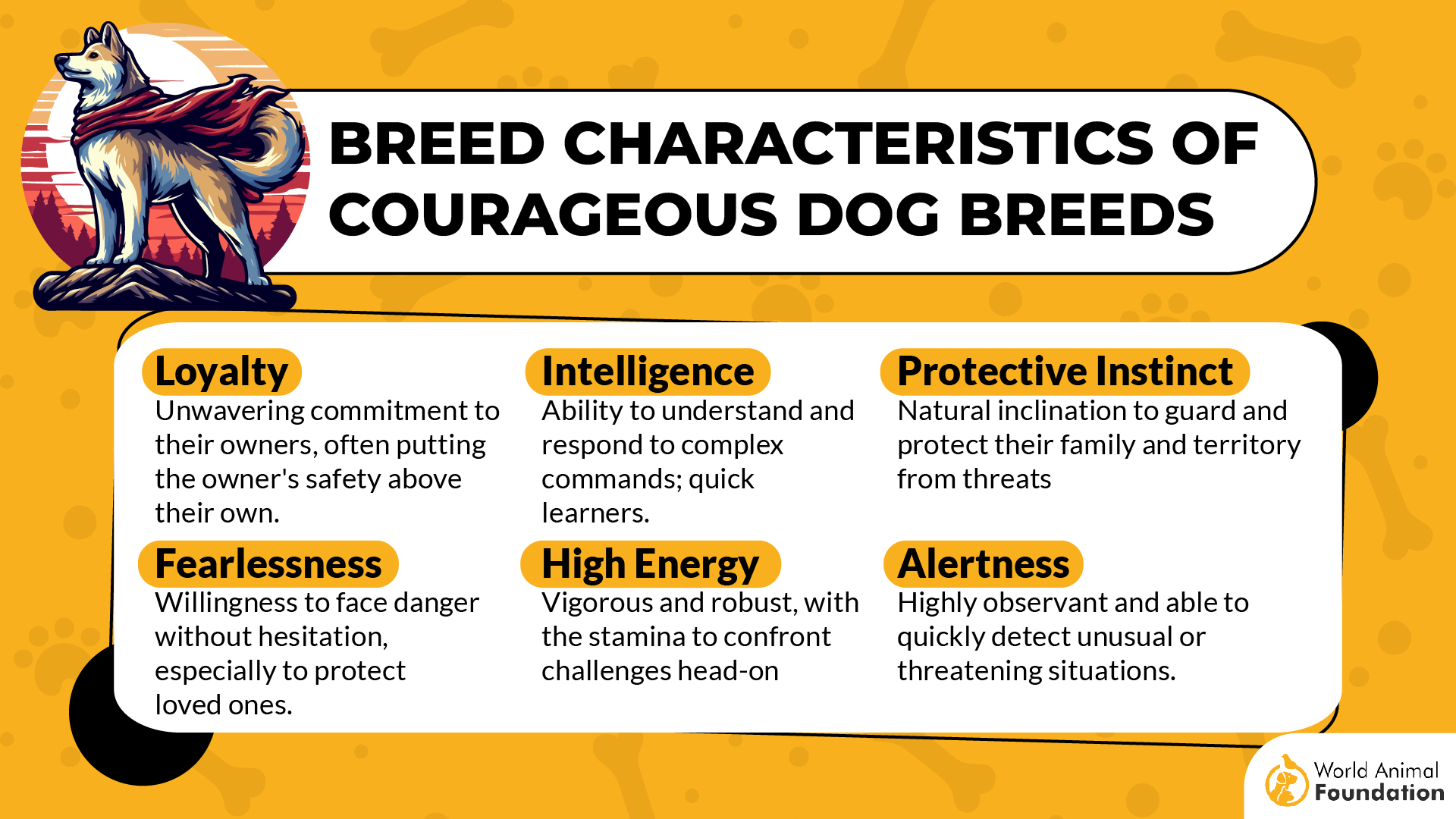 Breed characteristics of courageous dog breeds