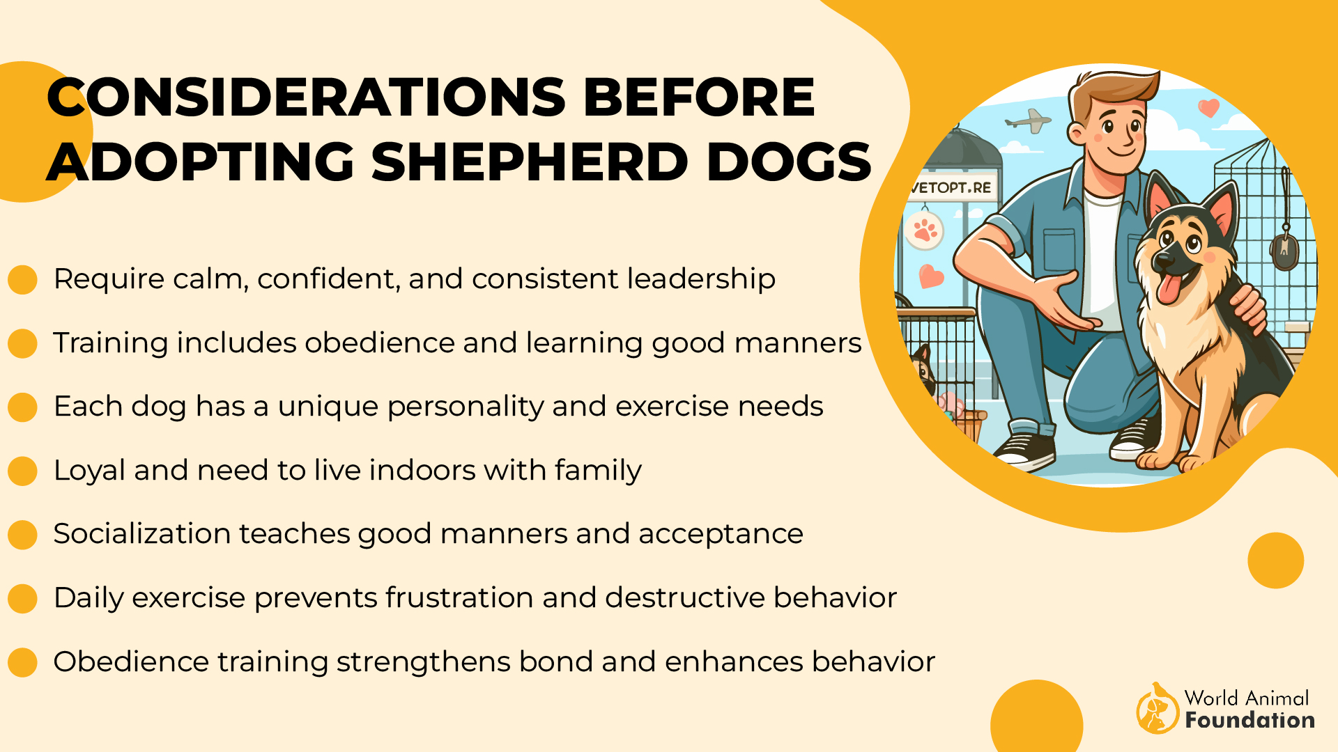 Considerations Before Adopting Shepherd Dogs-01