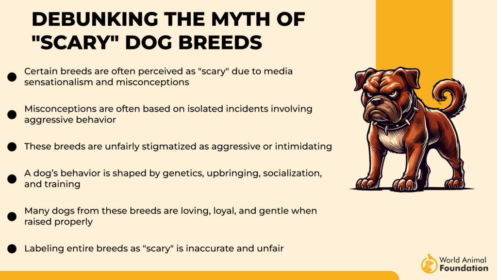 Debunking the Myth of Scary Dog Breeds